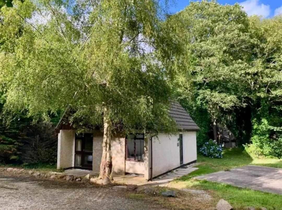 St Ives Bluebell Cottage Exterior photo